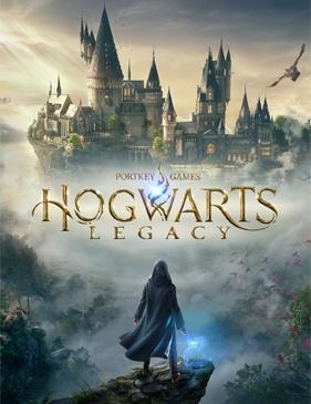 Купить Hogwarts Legacy